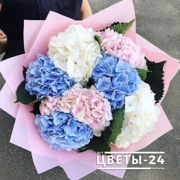 Цветы купить на автозаводской доставка цветов в ульяновске засвияжье круглосуточно